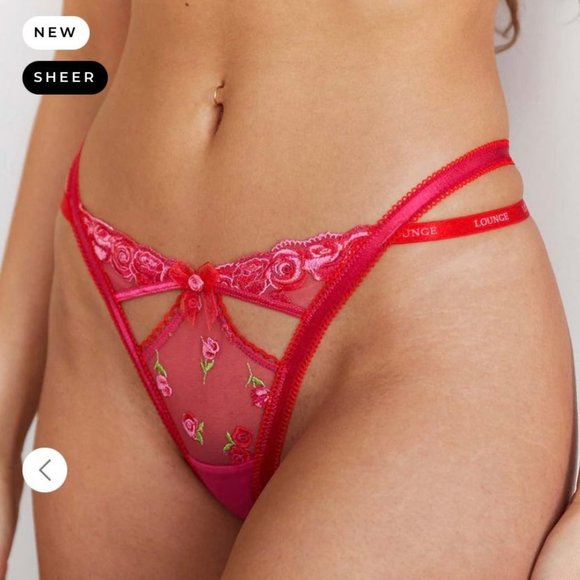BNWT Lounge Underwear Blush Embroidered Thong Size S & M Red Lace Mesh Panties - Picture 3 of 4